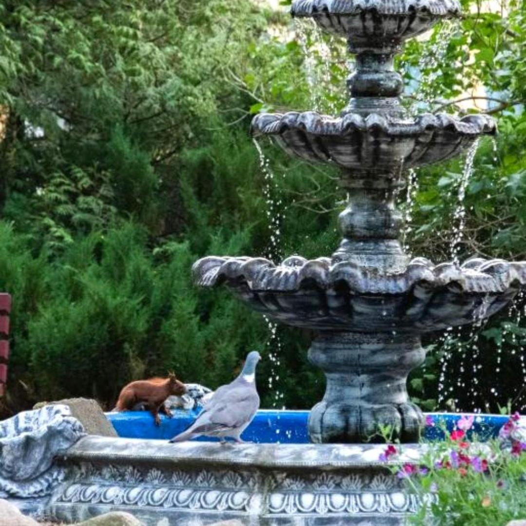 Krysztalowa Przystan Mrzezyno Ngoại thất bức ảnh